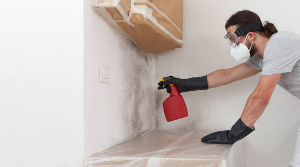Attic Mold Remediation treatment on roof deck in Clarklake